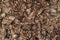 Natural background of red and brown pieces of tree bark wood chip mulch for gardening or natural themes