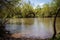 Natural background. river. Trees grow on the river bank. Spring is a blue sky.