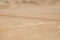Natural background - sands and soil of a desert