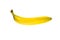 Natural banana single object cut out on white backgroun