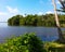 Natural Beautiful Lake And Mangroves