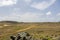 Natural beauty of Aruba. North coast. Off-road Aruba. Amazing stone desert landscape and blue sky with white clouds