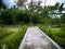 Natural Beauty Garden Landscape And The Pathway In The Dark Cloudy Rainy Day