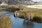 Natural beauty of grassland in Bashang, Hebei Province, China