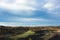 Natural beauty of grassland in Bashang, Hebei Province, China