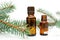 Natural beauty remedy. Small bottle of essential pine oil, pine tree twigs, alternative medicine