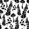 Natural black and white summer background with fern leaves,