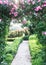 Natural blooming arch over the path in the garden