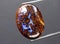 natural bolder opal gem on the background