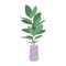 Natural botany potted houseplant