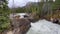 The Natural Bridge Falls in Yoho National Park