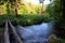 Natural bridge over the marsh creek in the early morning sun