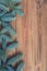 Natural brown wooden background with spruce brunches