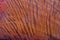 Natural Burma padauk wood has tiger stripe