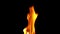 Natural burning fire flame on black background. Slow-motion
