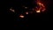 Natural Bush Fire burning at night. Fire flame in the dark night Aerial grain shot