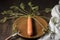 natural carrot on clay plate, on a wooden board