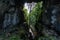 Natural caves on Mangapohue, Waikato - New Zealand. September 2020