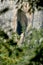 Natural Cavity On Cliff Of Vrachanski Mountains, Bulgaria