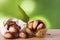 Natural chestnuts