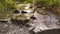 Natural clean water flowing over stones and rocks with moss and silky ripples through an idyllic creek on hiking tour in low angle