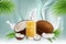Natural coconut oil vector poster banner template
