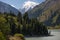 Natural combination: coniferous mountain, green mountain, stone mountain, snow-covered mountain