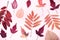 Natural composition of dry pink leaves on pink background. Autumn harvest concept.