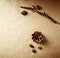 Natural Cones and Dry Tree Branch on a Brown Paper Background