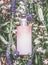 Natural cosmetics bottle with pastel pink essence, tonic, cleansing oil , emulsion or peeling on herbal leaves and wild flowers