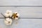 Natural cotton flowers on wooden background. Delicate organic floral blossom, top view, flat lay