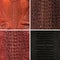 Natural crocodile skin in various color, suitable for luxury clothing accessories photo collage, website header banner