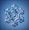 Natural crystal snowflake macro blue