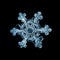 Natural crystal snowflake macro piece of ice