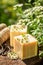 Natural cubes of chamomile soap in summer garden