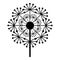 Natural dandelion icon, simple style
