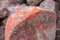 Natural  dark red stone crimson quartzite porphyry overgrown with moss and lichen