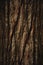 The natural dark tree and wood surface texture or background in vintage, dark or scary style