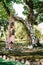 Natural decor for summer elegant wedding outdoors. Wedding ceremony near the tree