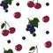 Natural delicious juicy organic berries seamless pattern with cherries, black currant, vector color illustration on