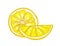 Natural detailed drawing of lemons cut in pieces isolated on white background. Fresh sour yellow citrus fruit