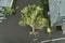 Natural disaster and its consequences. Hurricane Ian flooded house and fallen tree in Florida residential area