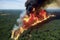 Natural Disasters, bushfires destroying large forest areas, created with Generative AI