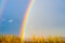 Natural double rainbow over green trees, summer city landscape