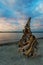 Natural Driftwood at Birch Bay State Park in Washington