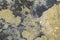 Natural eco-friendly authentic stone background, gray with yellow