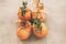 Natural eggs with bunch plant and dried flowers on grey concrete background