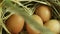 Natural eggs rotating in basket close up macro