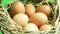 Natural eggs rotating in basket with green screen background