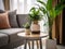 Natural Elegance: Close-Up of Contemporary Living Room Wooden Round Table with Decor Plants